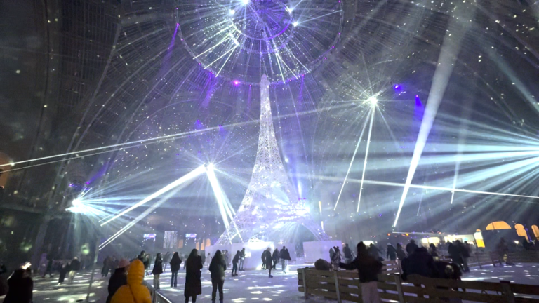 Christmas in Paris Episode 2 | I Tried Europe’s Biggest Ice Rink (Grand Palais) ⛸️✨
